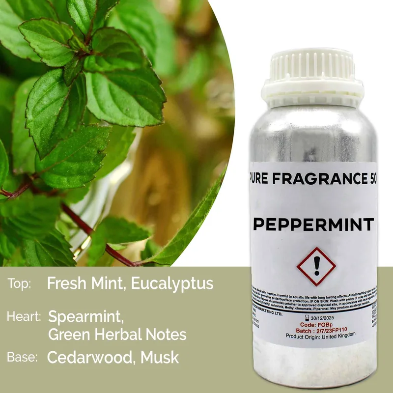 Menta Puro Profumo Olio 500ml