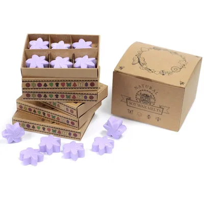 Set Regalo di 6 Cera Mele – Campi di Lavanda — foto 1