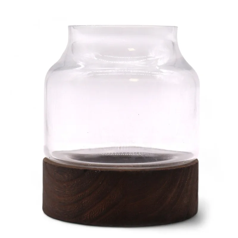 Small Shaped Terarium on Dark Tung Legno 12x13cm