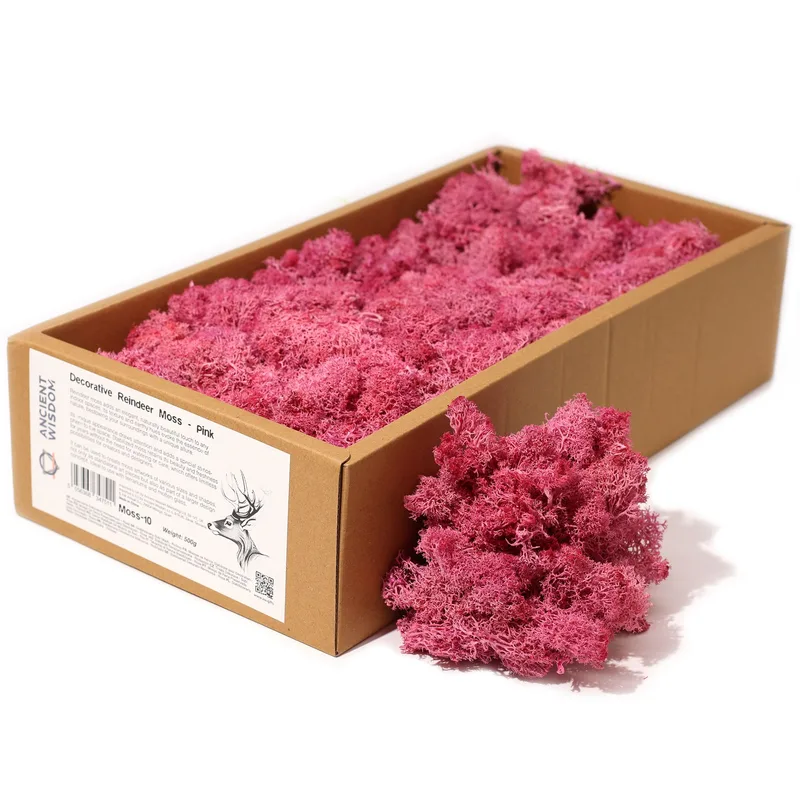 Quality Decoration Reindeer Moss Pink 635g Scatola