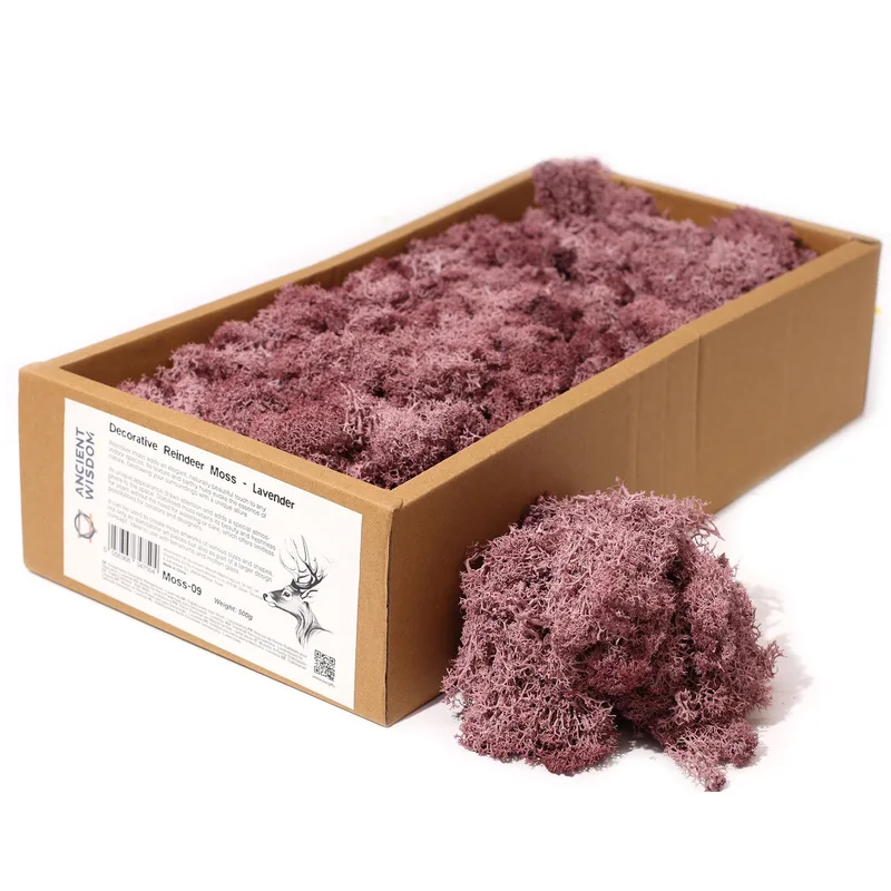 Quality Decoration Reindeer Moss Lavanda 635g Scatola