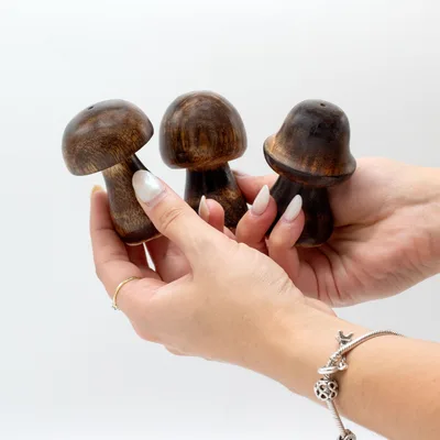 Set di 3 Mini Funghi per Incenso (8cm / 7cm / 6,5cm) — foto 1