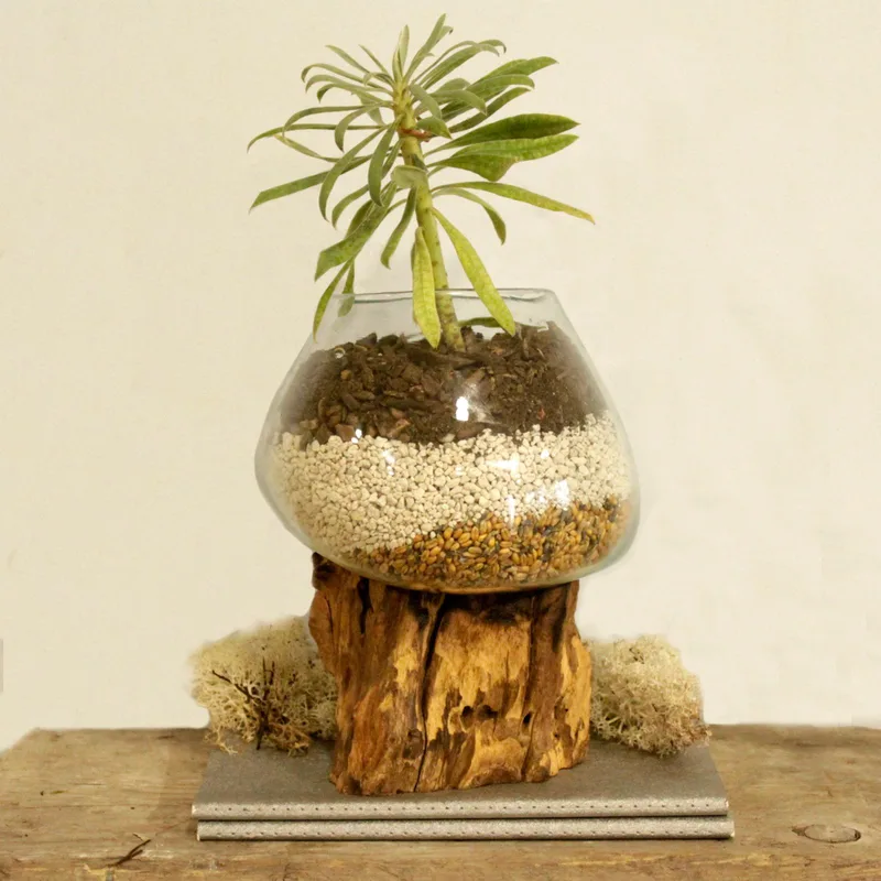 Molten Glass on Legno Large Bowl — foto 1