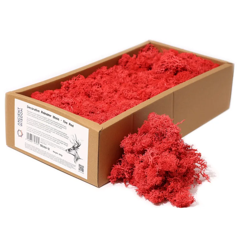 Quality Decoration Reindeer Moss Fire Red 635g Scatola