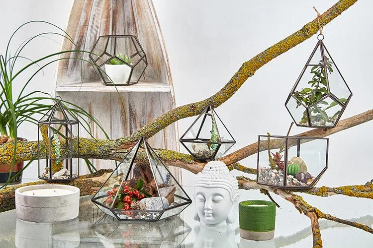 Glass Terrarium Cube on Corner — foto 4