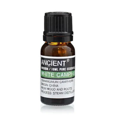 10 ml Bianco Camphor Essenziale Olio