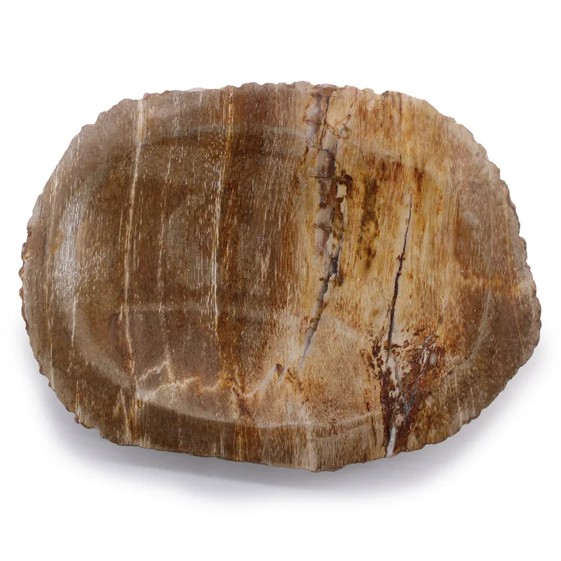 Petrified Legno Brown Sapone Dish — foto 1