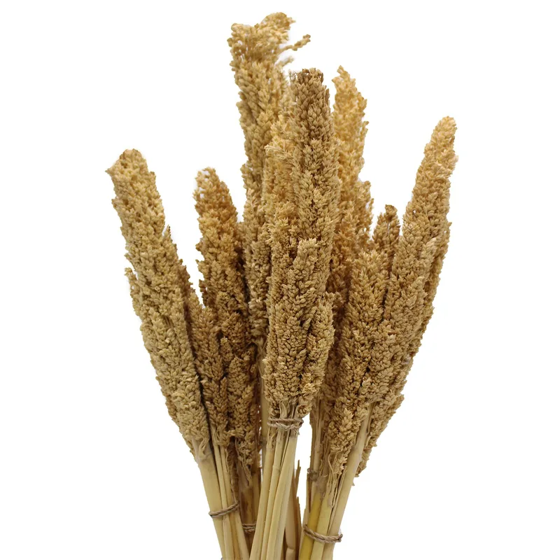 Cantal Grass Bunch Naturale — foto 3
