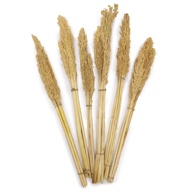 Cantal Grass Bunch Naturale — foto 4
