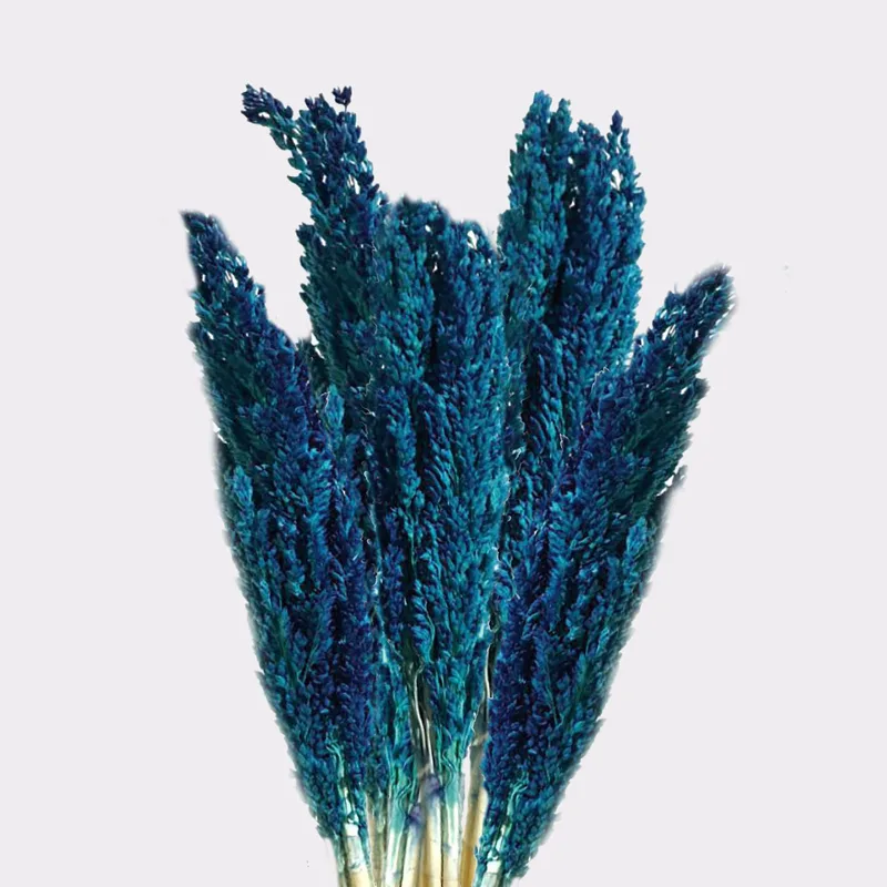 Cantal Grass Bunch Blu