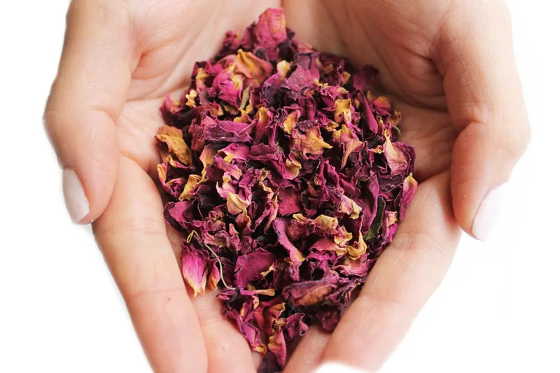 Rosa Petals — foto 2