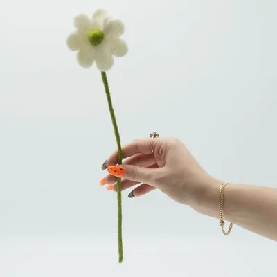 6x Felt Fiori - Daisy (assorted colours) — foto 1