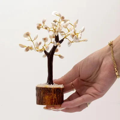Lrg Gomati Chakra Circle Stone Trees -