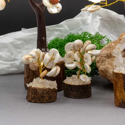 Small Gomati Chakra Circle Stone Trees- — foto 1