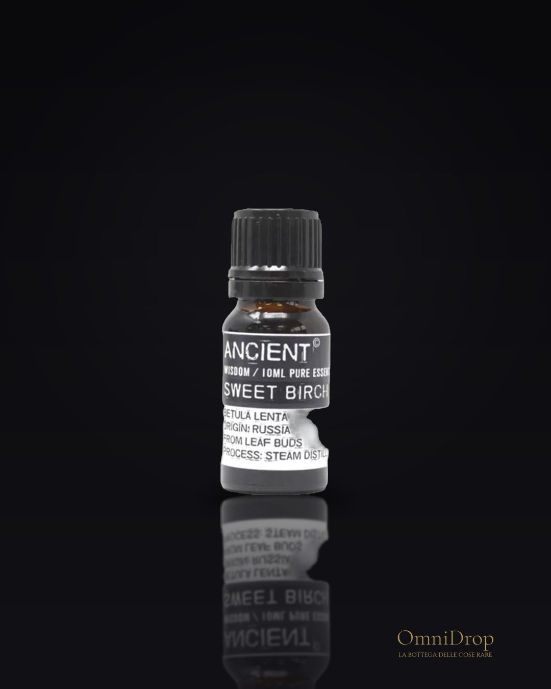 Olio essenziale bianco di betulla, per purificare gli spazi e rinvigorire l’anima
