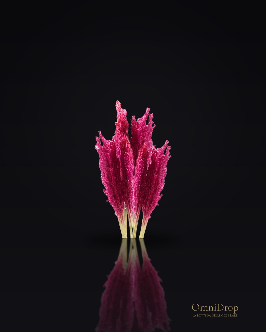 Mazzetto di erba cantal rosa, per un tocco di delicatezza e luce nell'ambiente per creare un ambiente rilassante