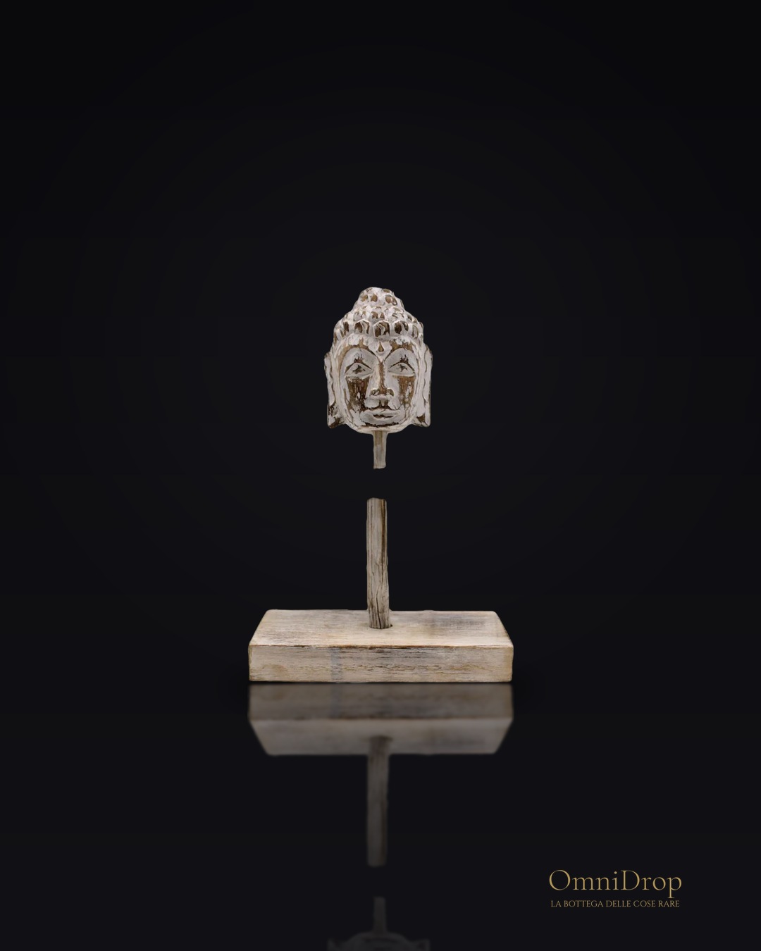 Ramo singolo e supporto Buddha biancura, elemento decorativo per ambienti zen