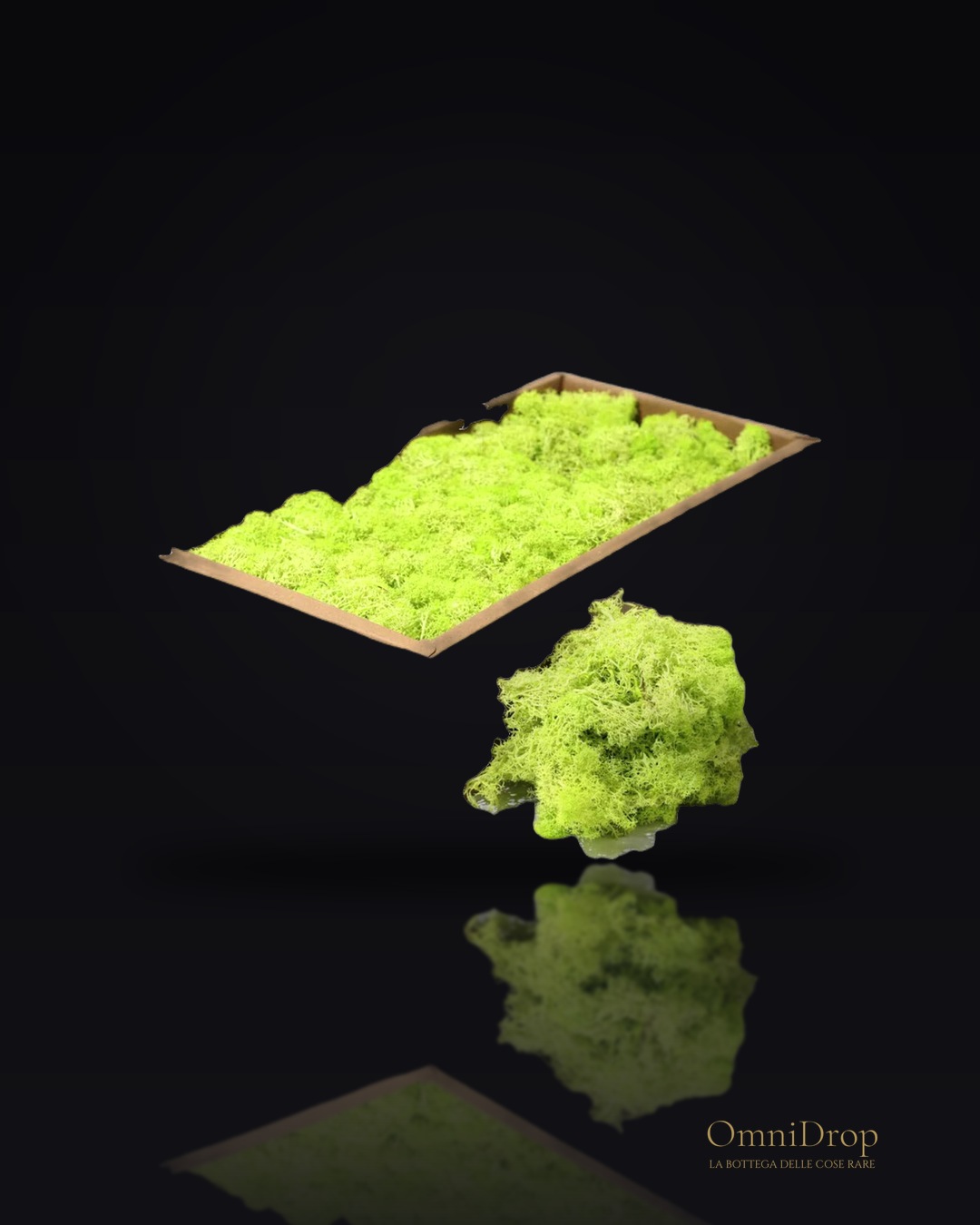 Moss di Re di Natale - Verdura di Mint - 635g Scatola, Decorazione per ambienti esterni
