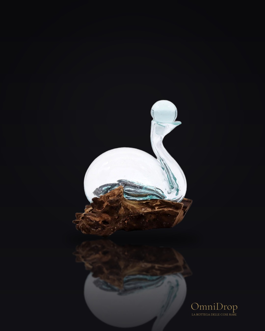 Decanter per vino, Contenitore elegante per vino.