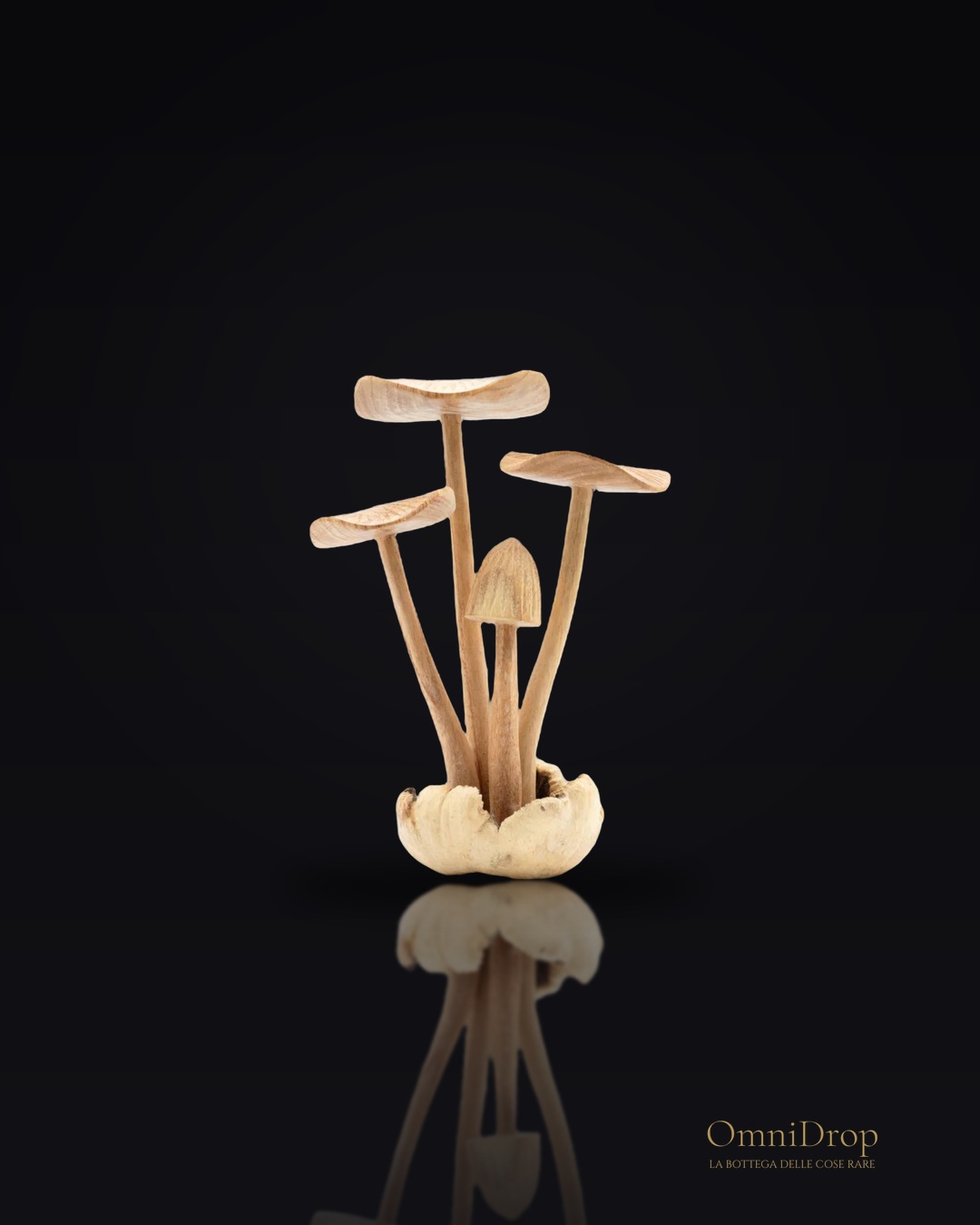 Funghi in legno da parete, Decorazione naturale per ambienti interni